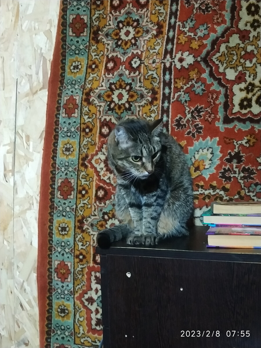 А что это ты тут делаешь?)))))