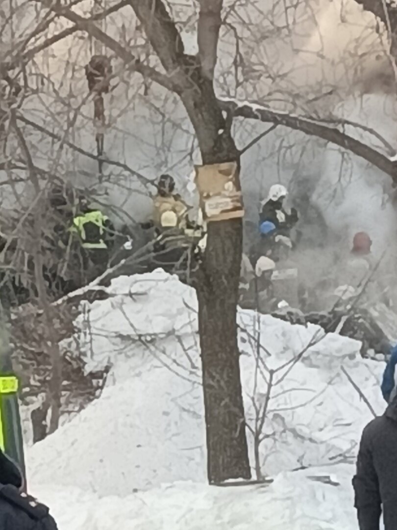 Со стороны двора, пришлось большой зум делать. Ближе было не подойти.