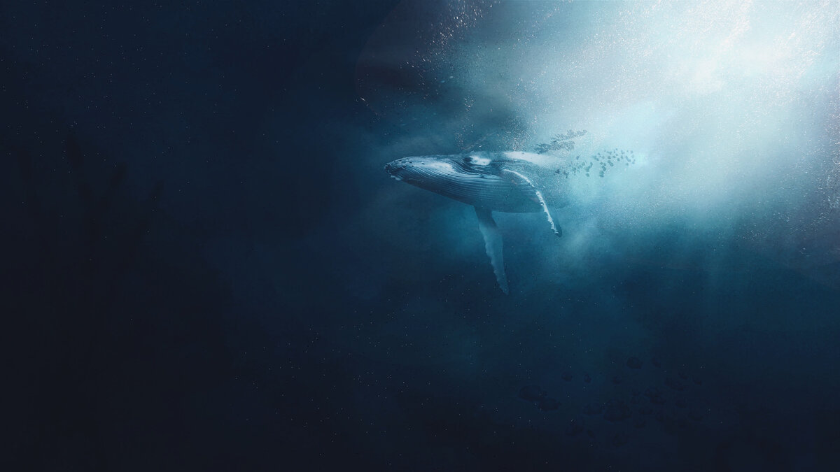 Фото Габриэля Диззи на Unsplash