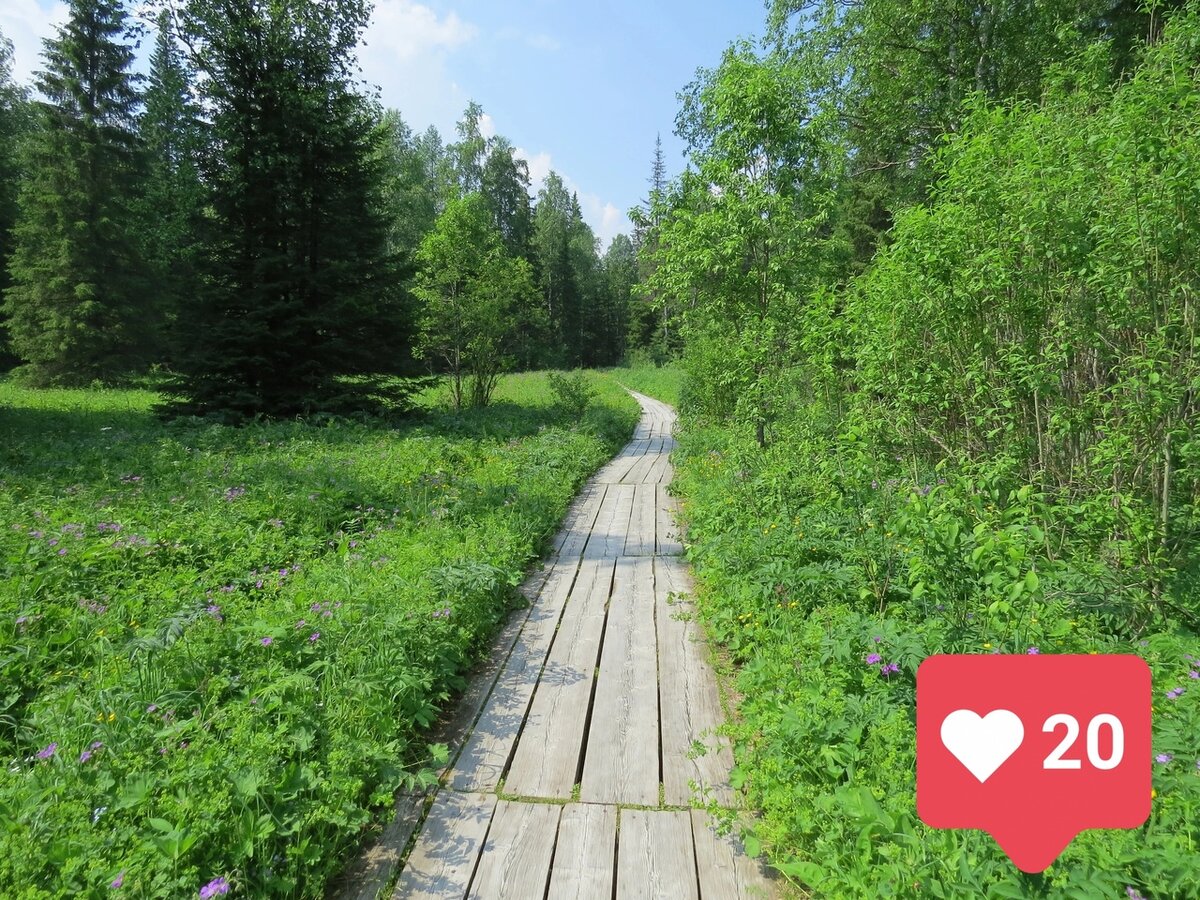 Дорога в долгую и счастливую жизнь!