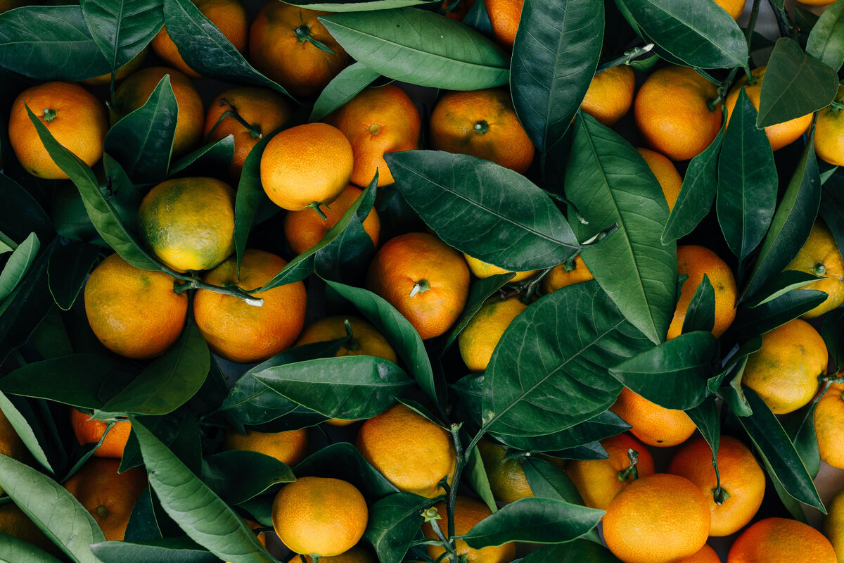 Фото: unsplash.com
