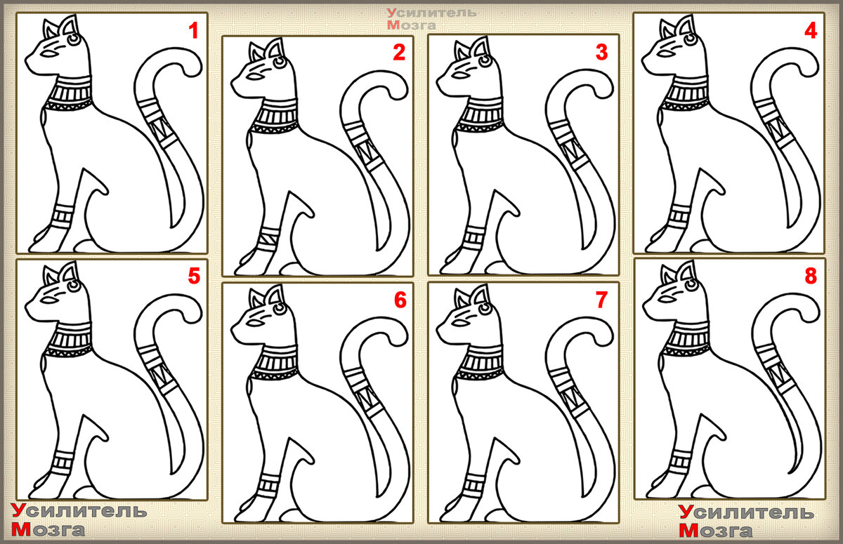 Двух отличающихся кошек Два задания на внимание, а вы найдёте различия между египетскими царицами и.