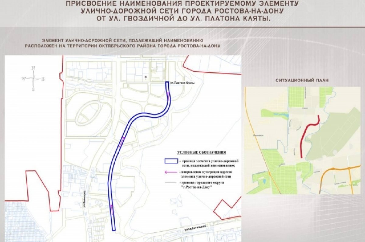    В Ростове появится улица имени поэта, написавшего стихотворение «Журавли»