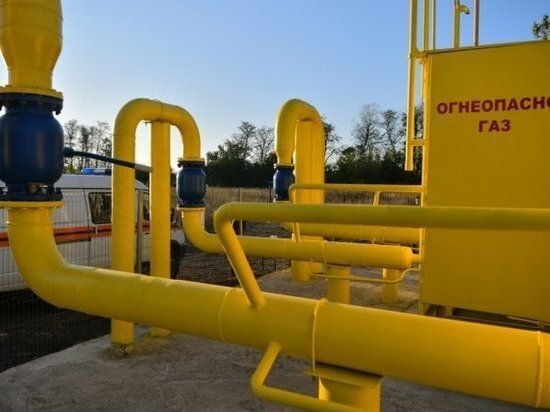     Фото пресс-службы администрации Краснодара