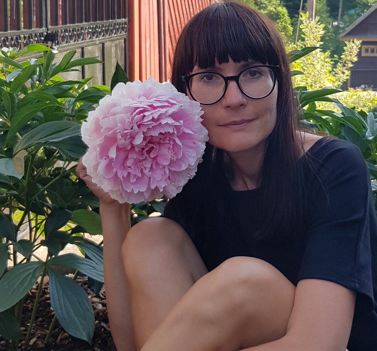 Пион травянистый Сара Бернар