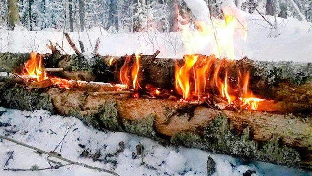 Костёр подобие нодьи, из толстых деревьев (фото из открытых источников)