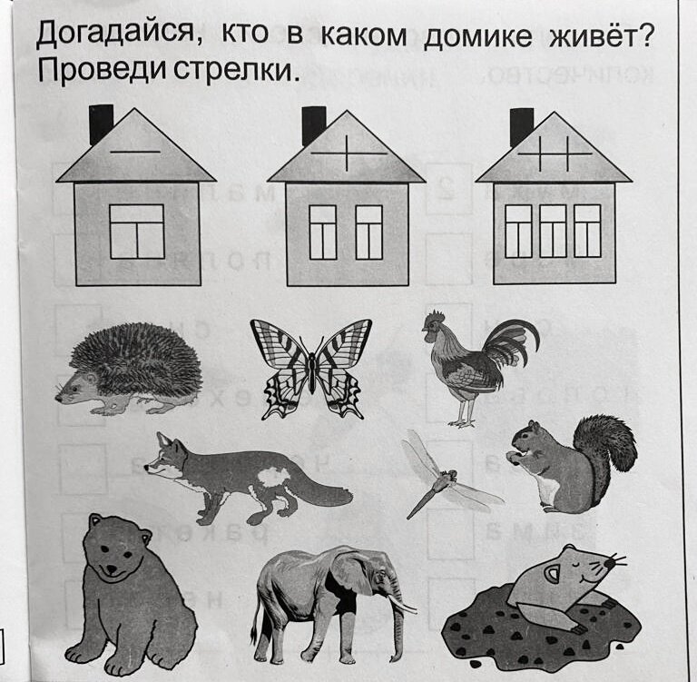 Задание из детского пособия