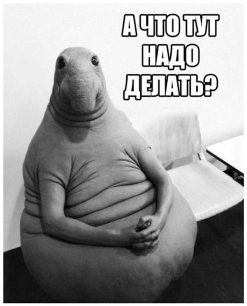 У Юры была совсем другая картинка. 