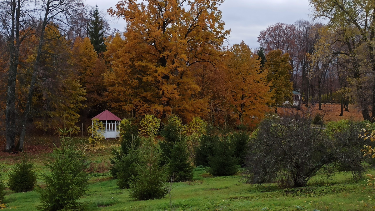 В усадьбе С.В. Рахманинова.