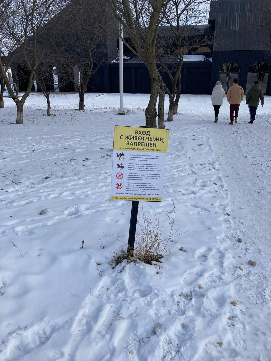 Вход на Кудыкину гору с животными запрещен