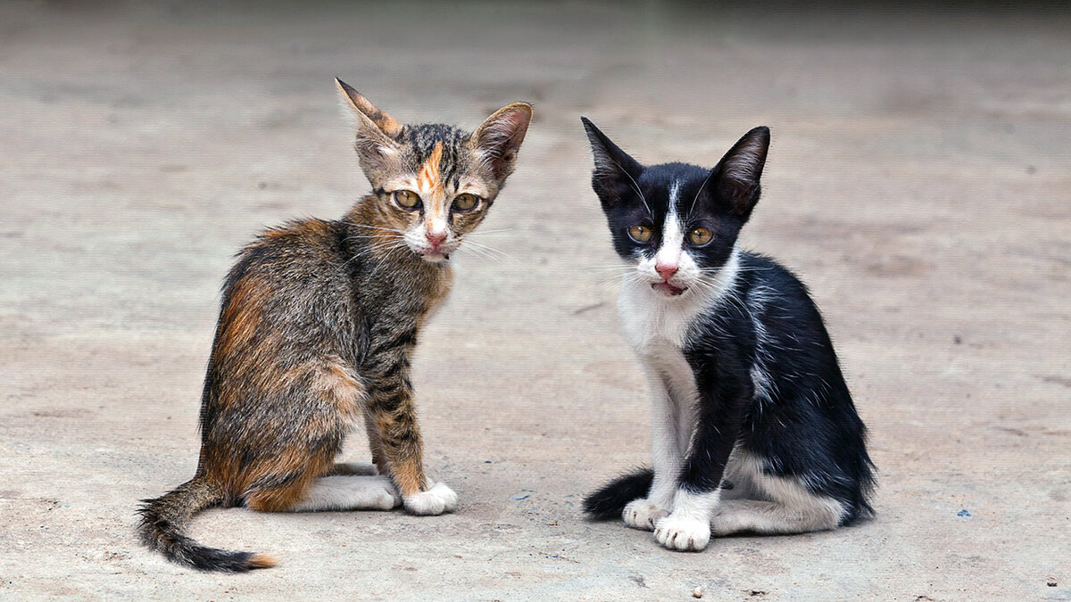 источник фото: kartinkin.net