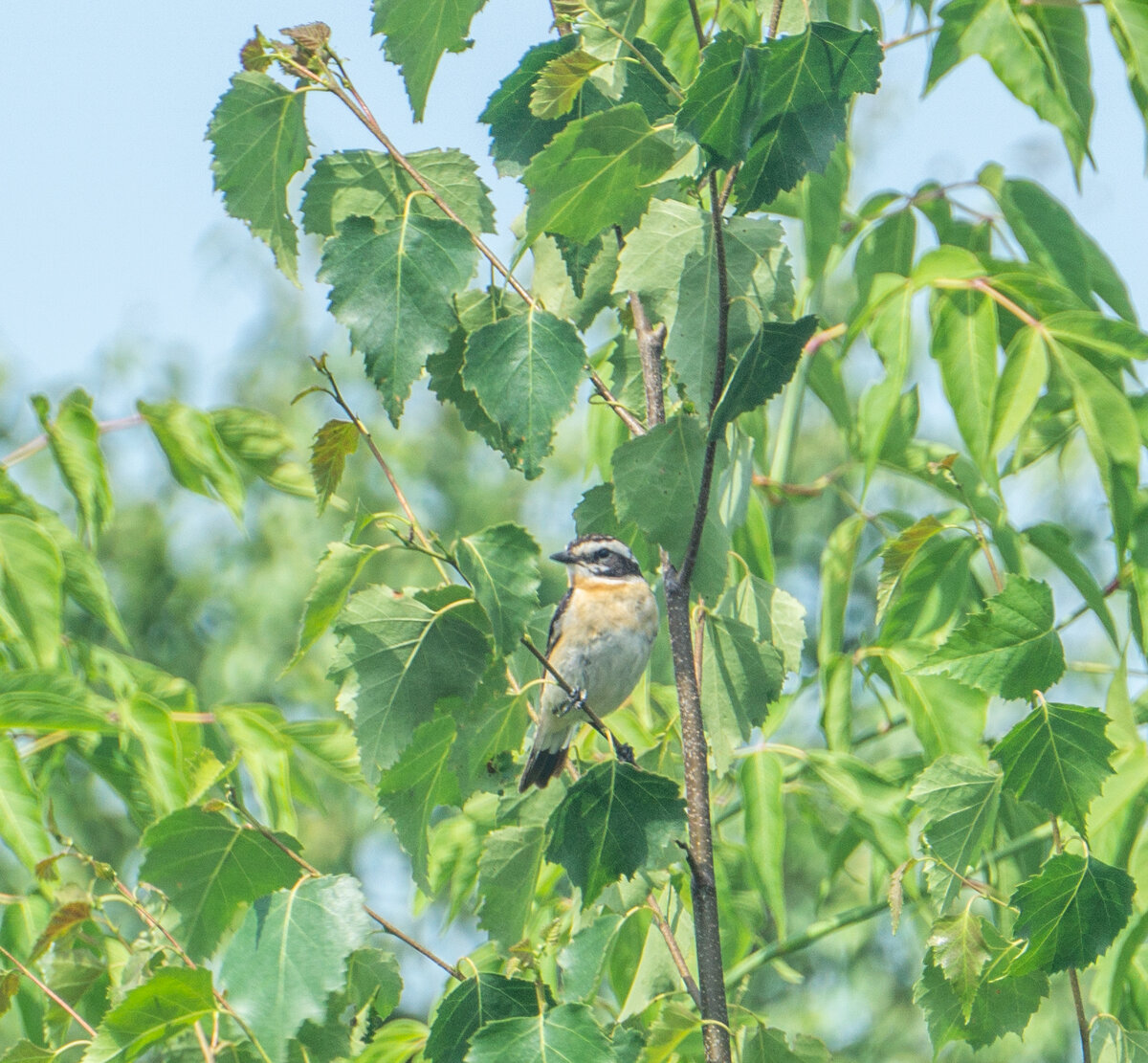 все фото и видео из семейного архива
