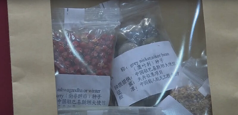    Источник изображения: YouTube/New China TV