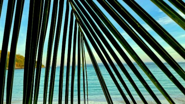 Райский остров ждет нас