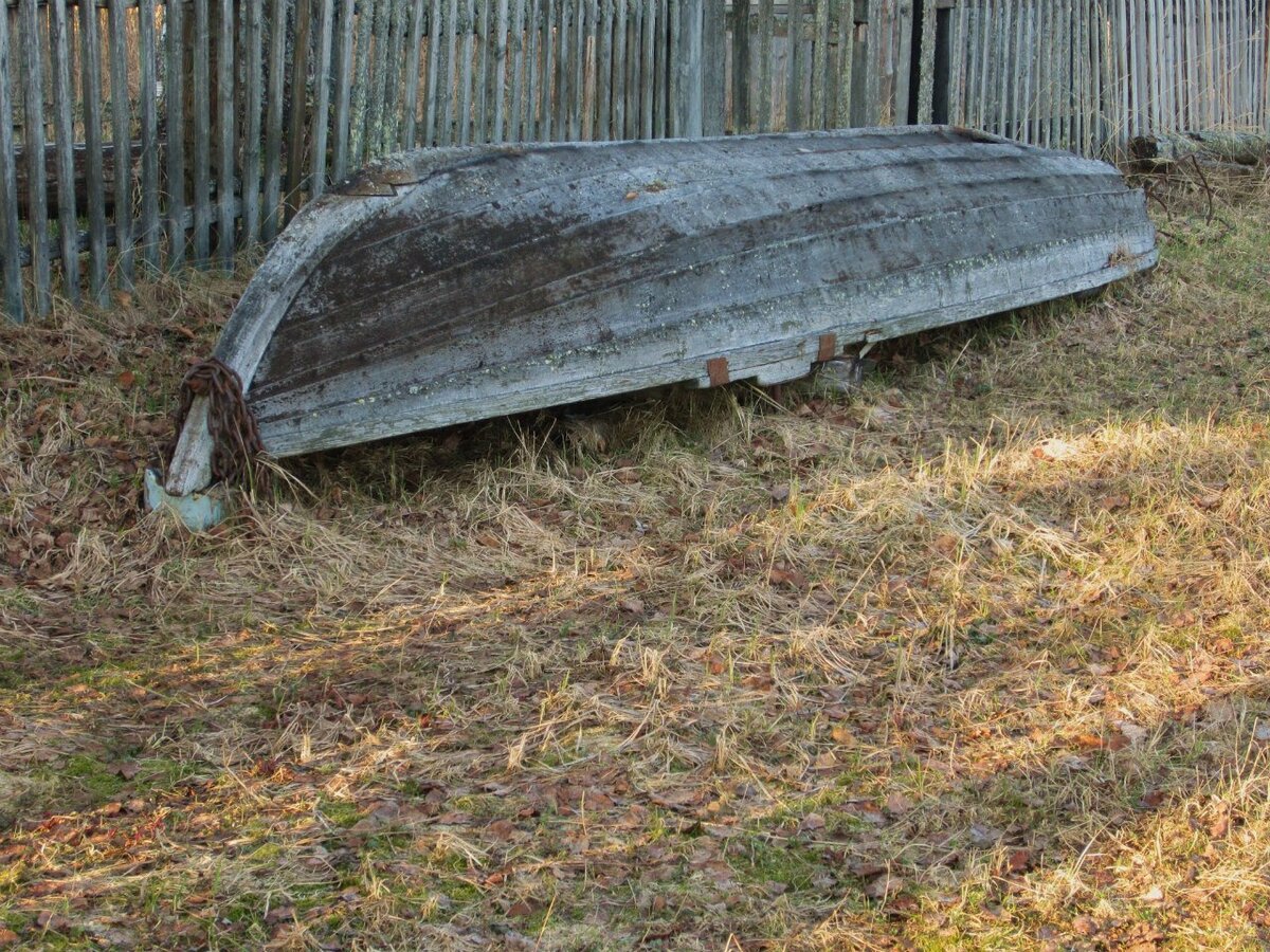 Расплескалось огромное горе, за волной набегала волна | Новые сказки Севера  | Дзен