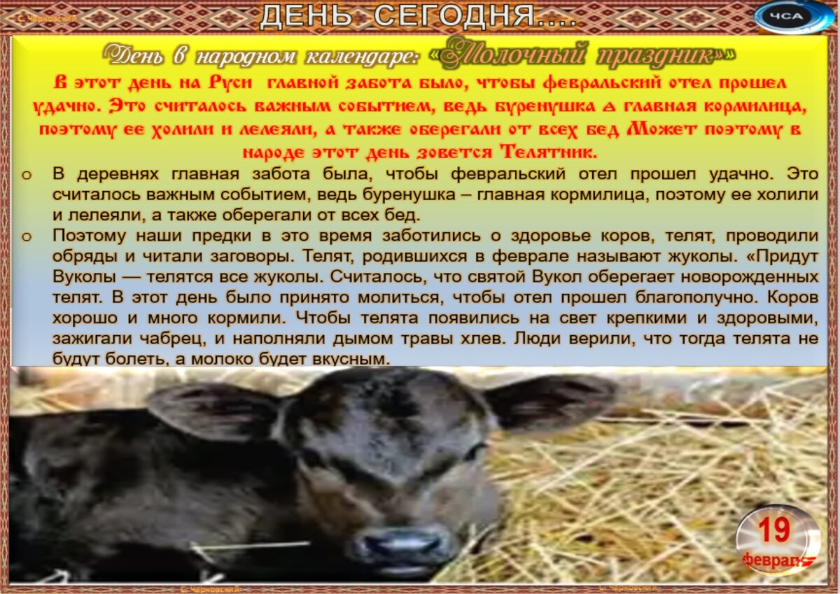 Встречаем новый день