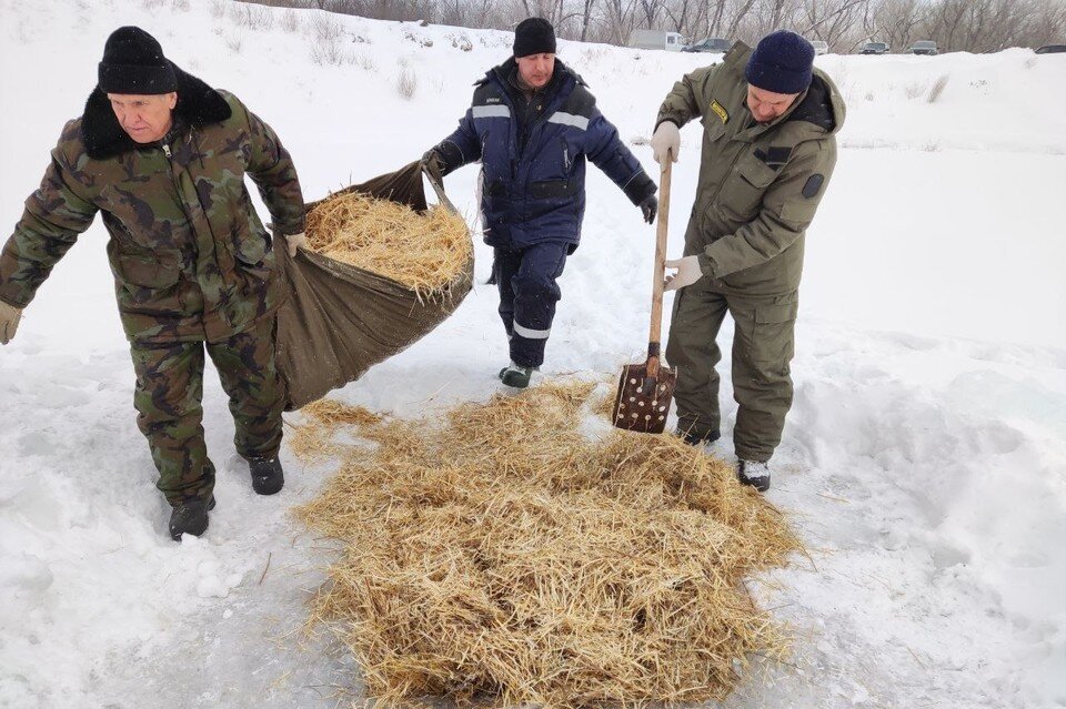     Марафон «Глоток воздуха» проходит в Оренбуржье девятый год подряд. Фото: Минприроды Оренбургской области
