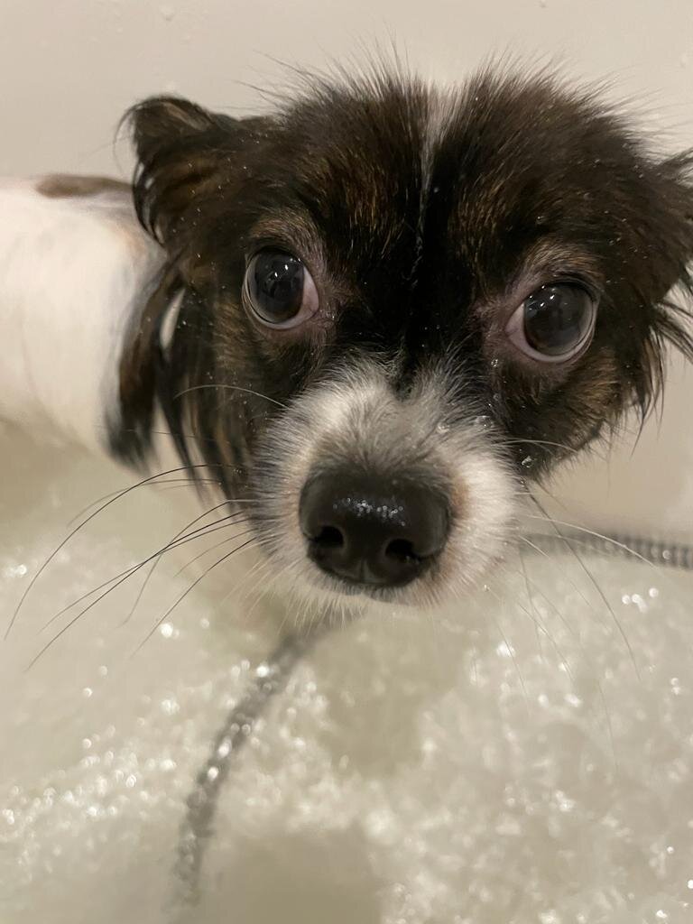 мам, тут мокро