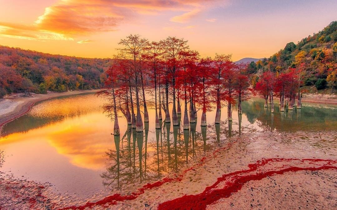 Кипарисовое озеро сукко весной фото