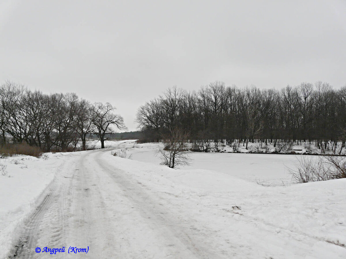 Заснеженная дамба лесхозовского пруда