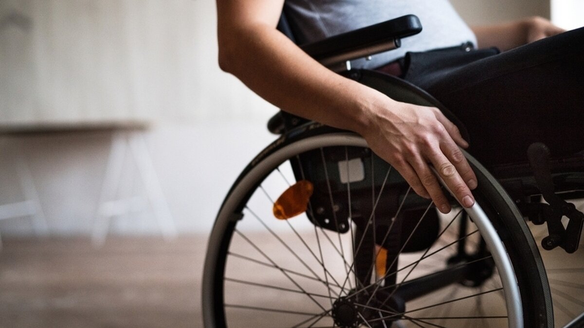 Фото из свободного доступа сети Интернет