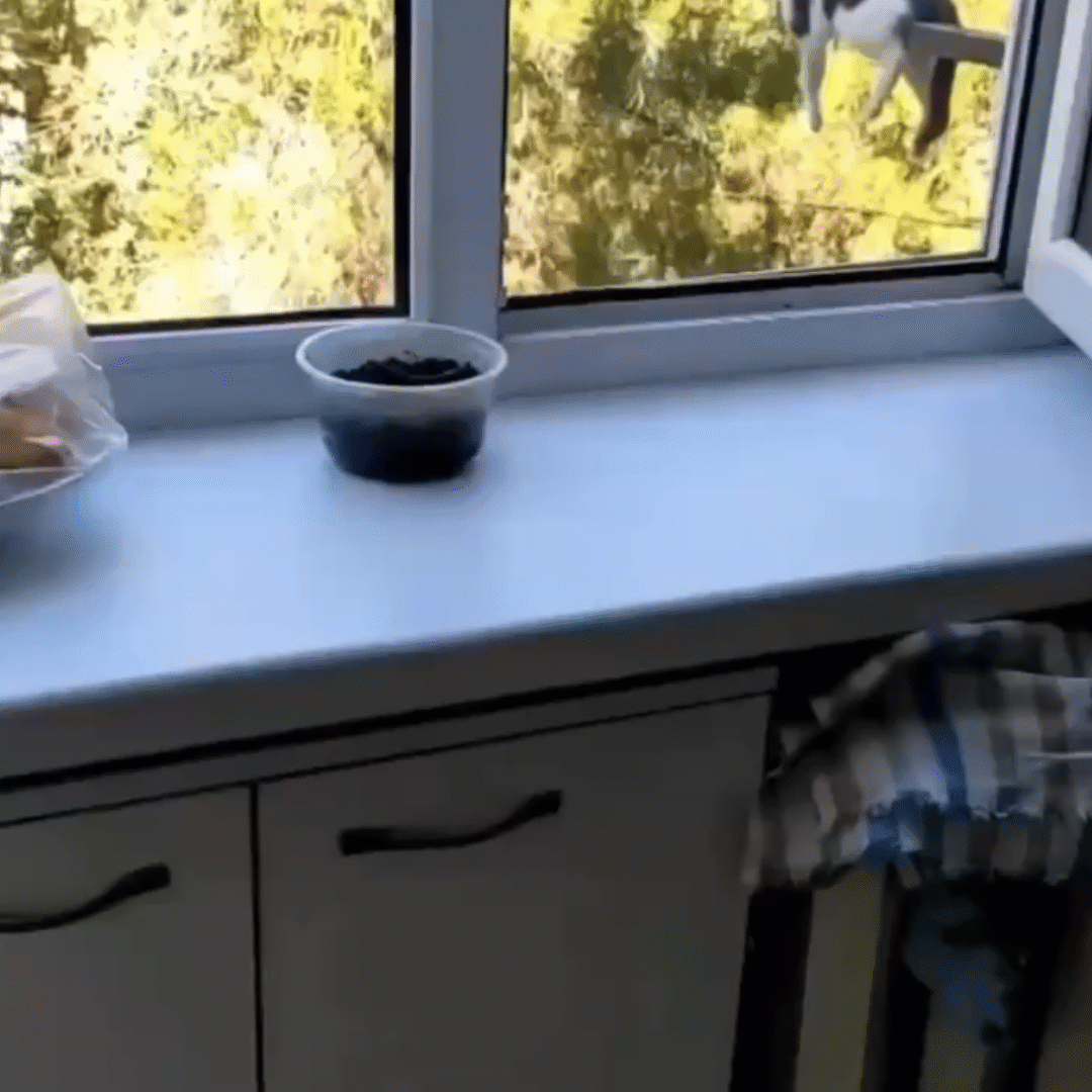 -3