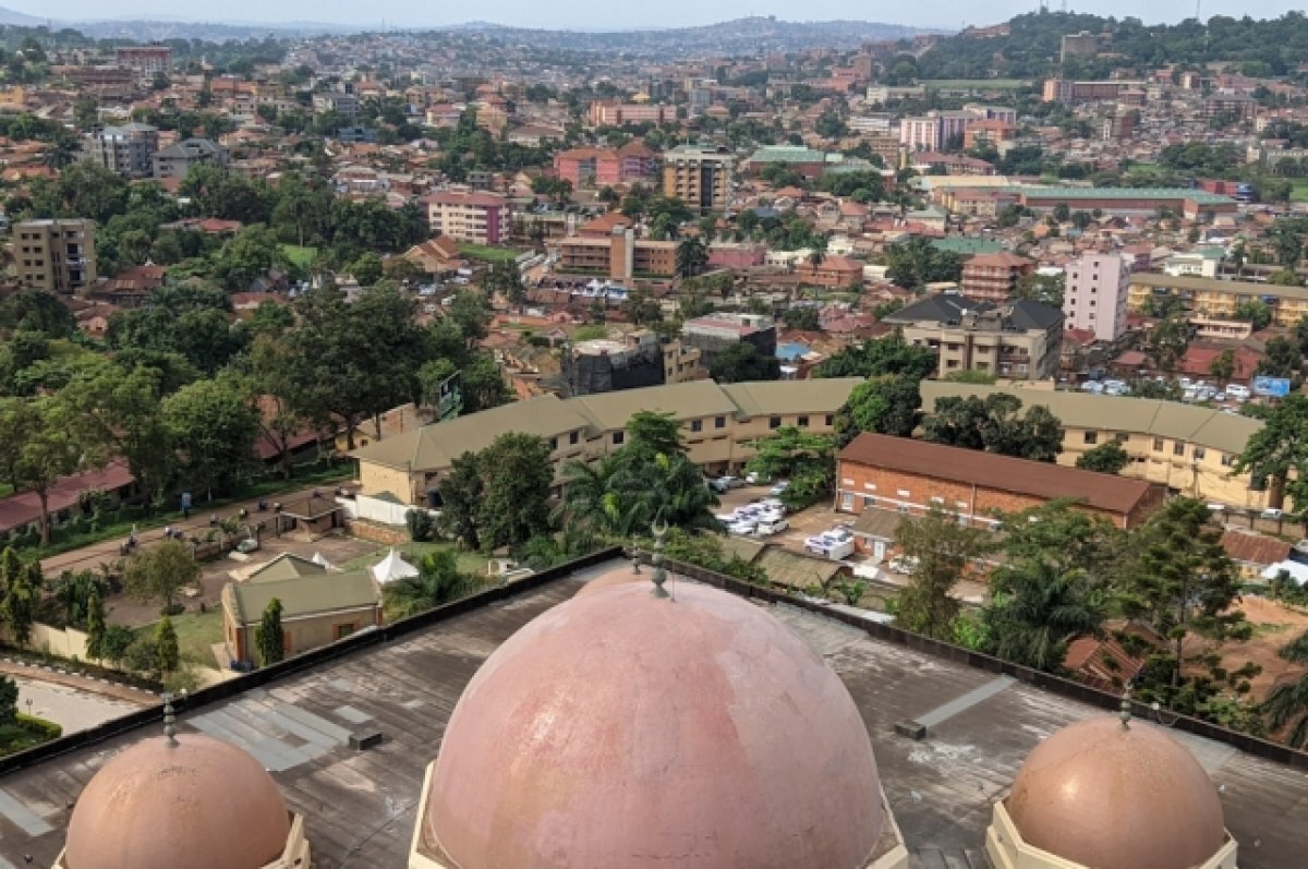    «Тут много диких обезьян». Страна без моря зовёт россиян приехать на отдых