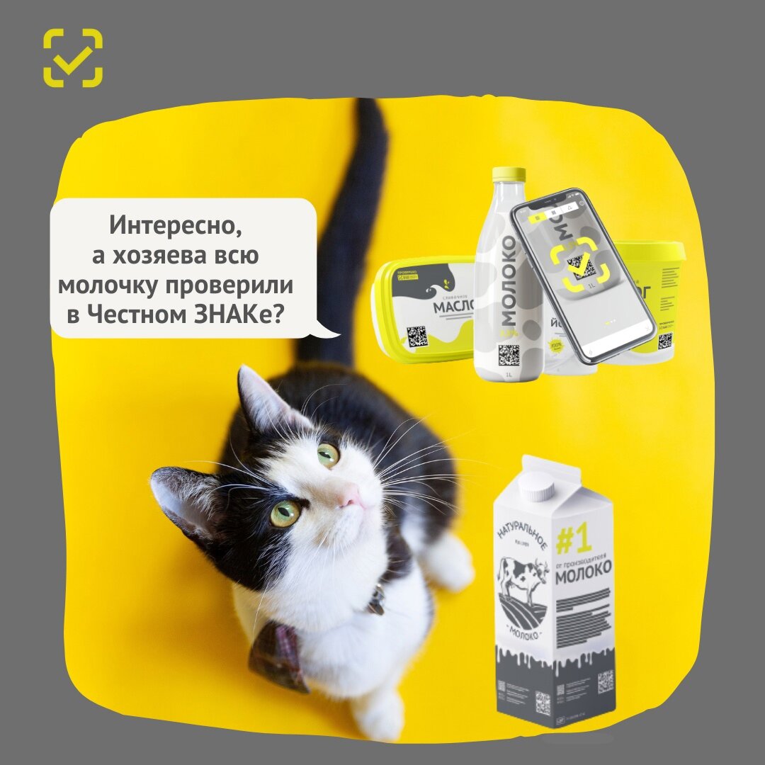 Отпраздновать Масленицу и не навредить здоровью помогает «Честный знак»: 3 правила выбора продуктов