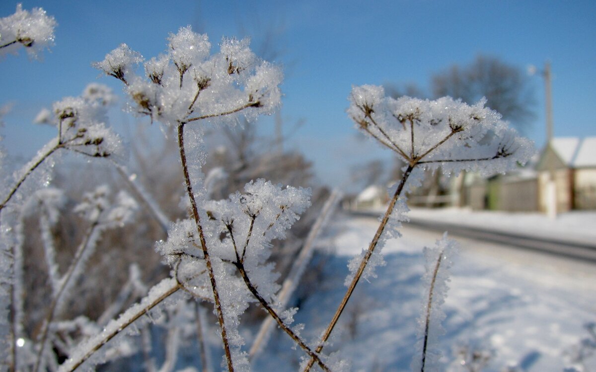 Яндекс Images