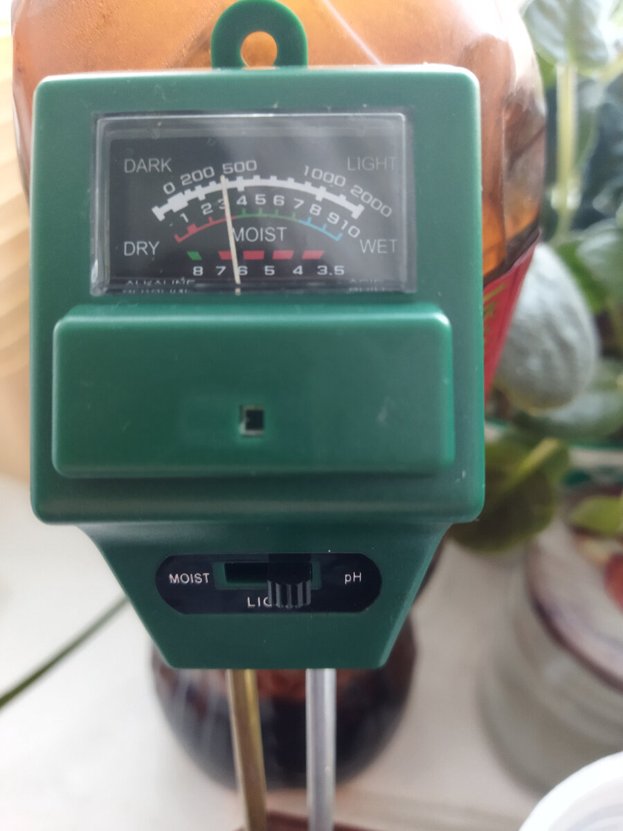 Листайте. Здесь грунт не пролитый, из пакета.