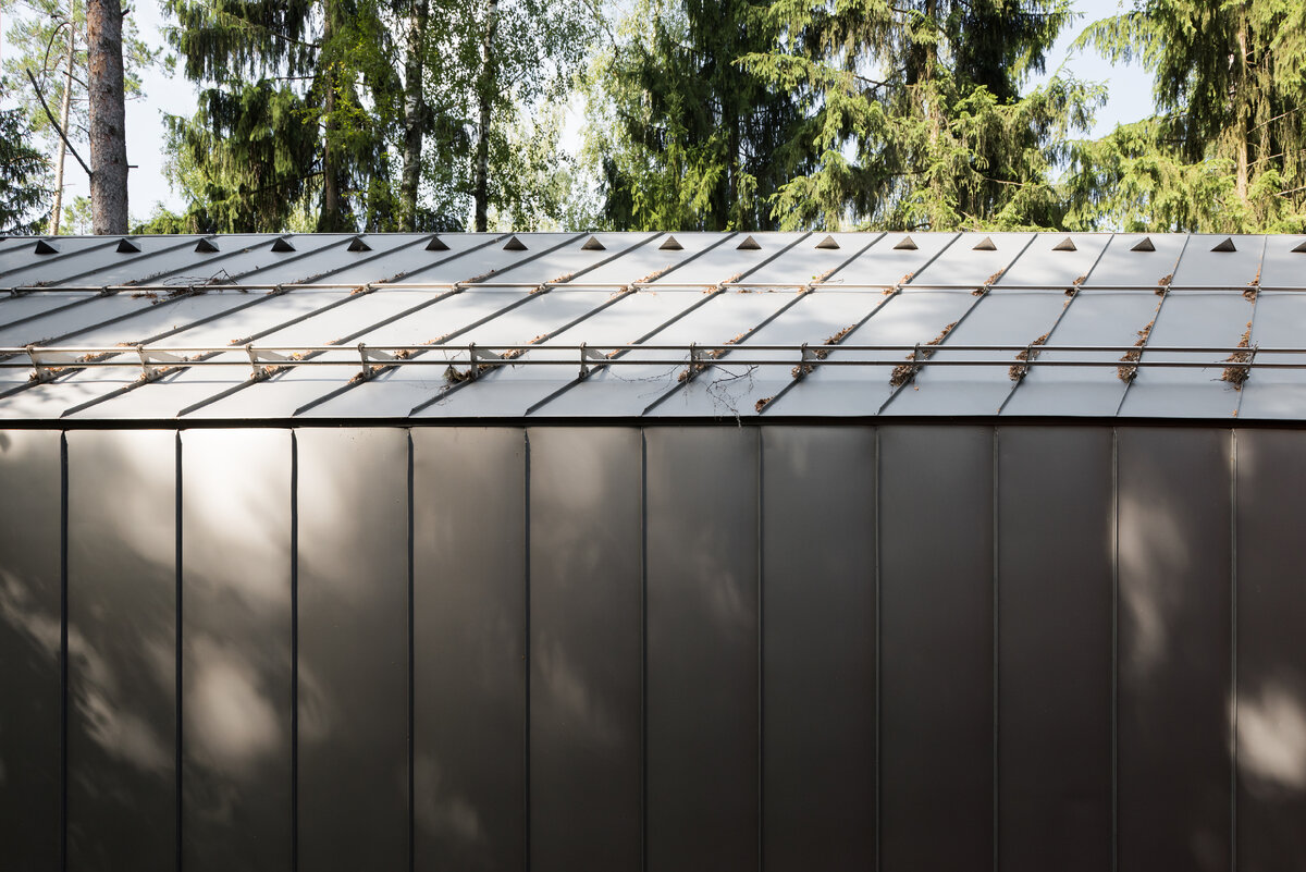 Цинк - титан на фасаде галереи