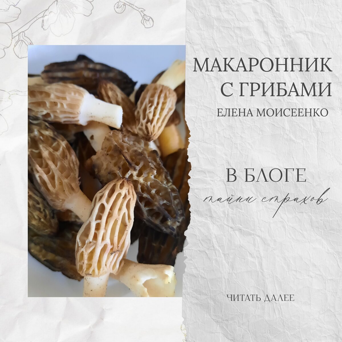 Сморчки