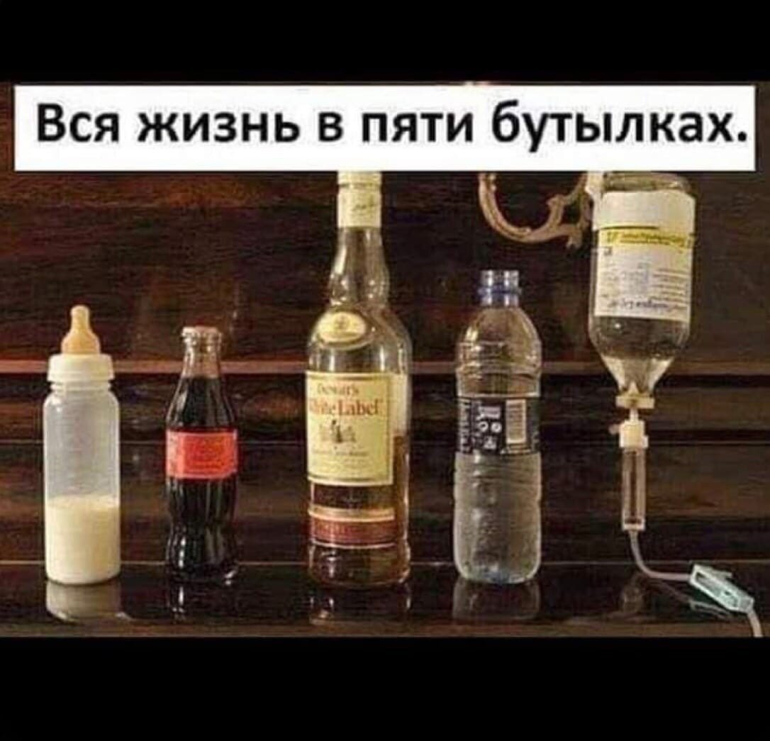 жизнь