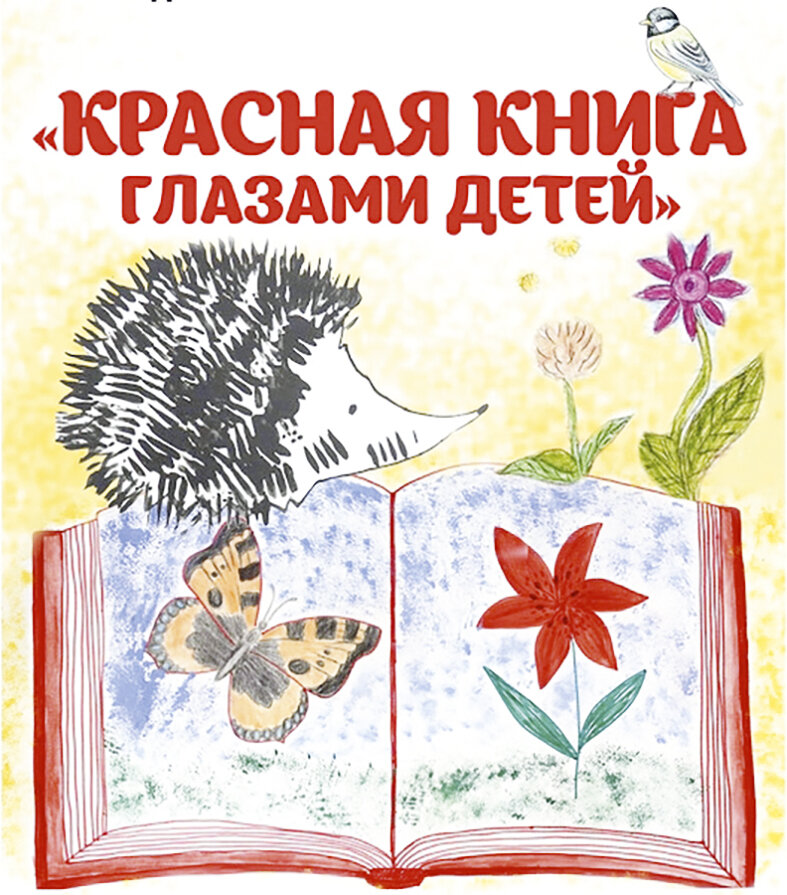    Экологический класс: старая идея, новое воплощение
