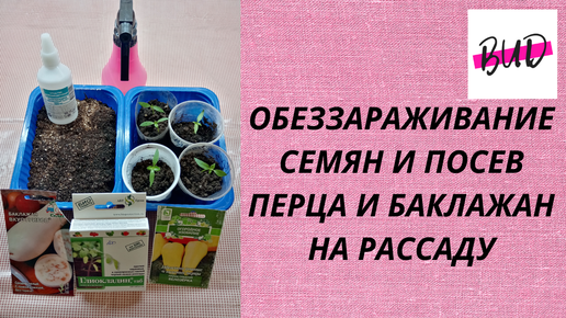 ОБЕЗЗАРАЖИВАНИЕ СЕМЯН И ПОСЕВ ПЕРЦА И БАКЛАЖАН НА РАССАДУ.