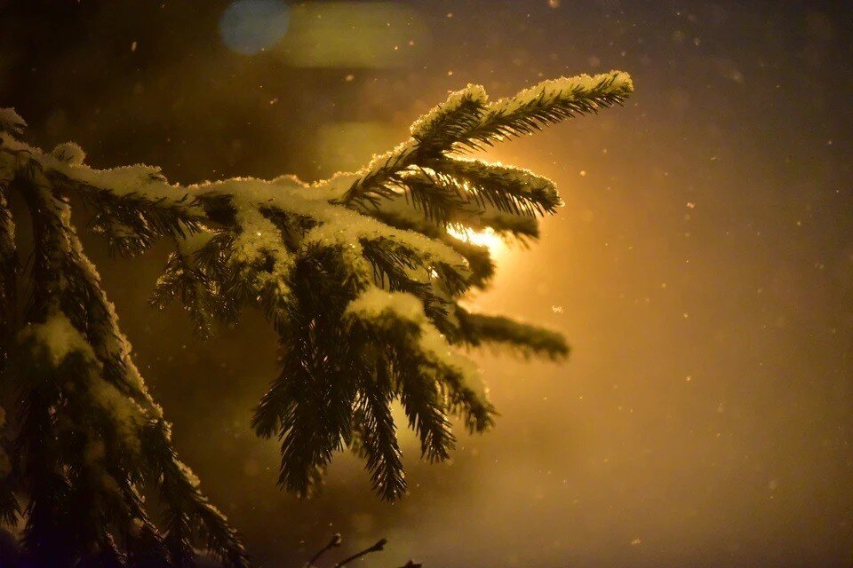     Фото: Влад КОМЯКОВ