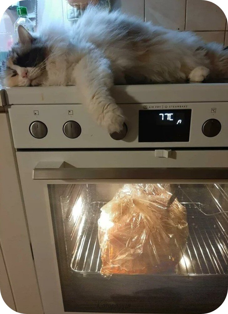 Источник: pinterest.com