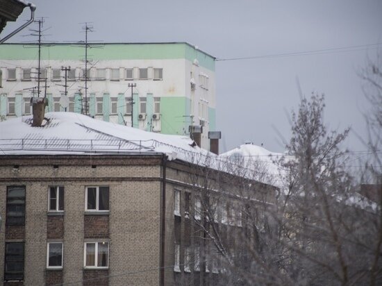     ФОТО: ГУСТАВО ЗЫРЯНОВ / МК В НОВОСИБИРСКЕ