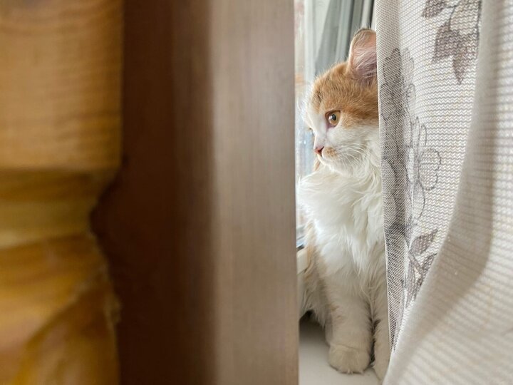     Фото Влады Настенко/МК в Красноярске