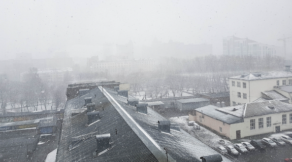    Волонтеры вышли на «Ладожскую», несмотря на сильный снегопад и предупреждение МЧС