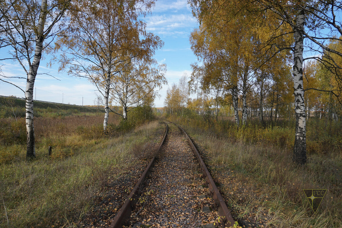 Мёртвая, но живописная ветка железной дороги в Подмосковье