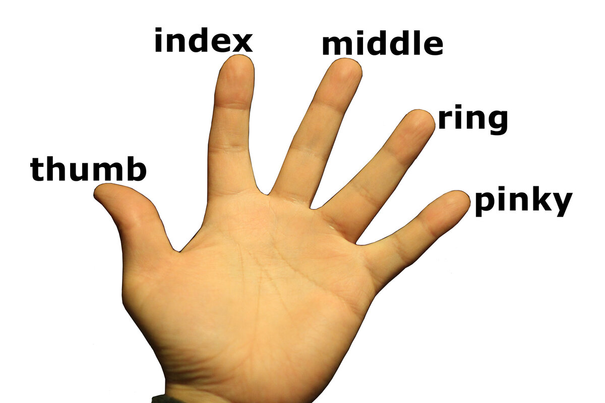 Толстяк, розовый, ушной... Как пальцы рук называются на других языках?