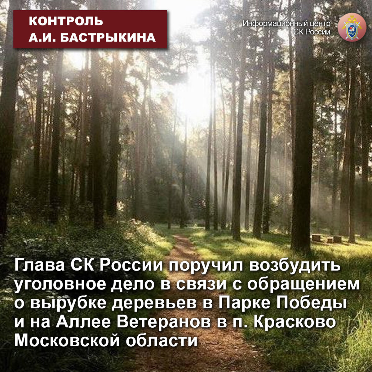 Красковский лес