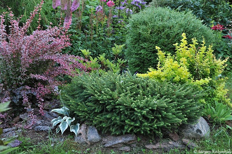 ��� ������� ������������ �������� � ����