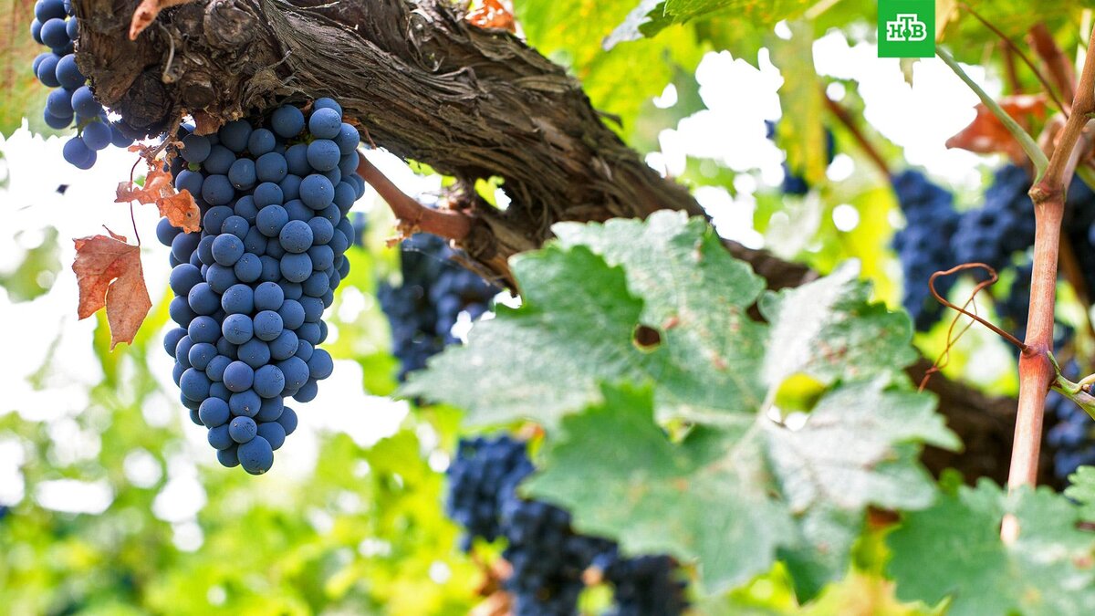    Фото: РИА Новости © 2023, Михаил Патлис