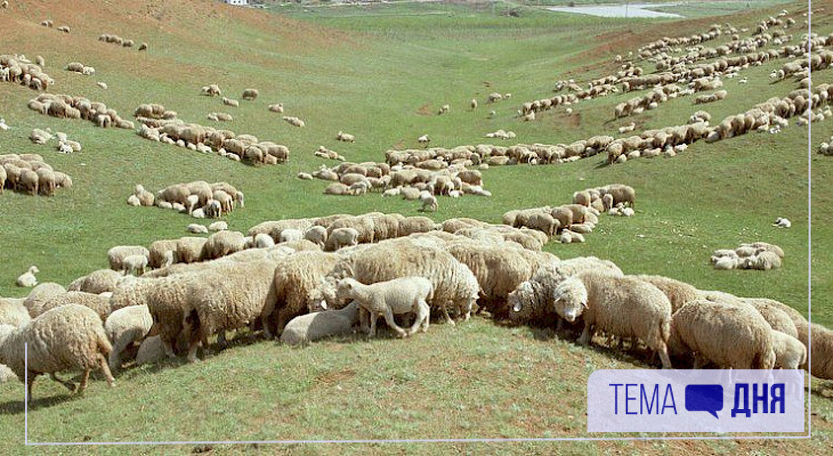 Сельское хозяйство Кыргызстана