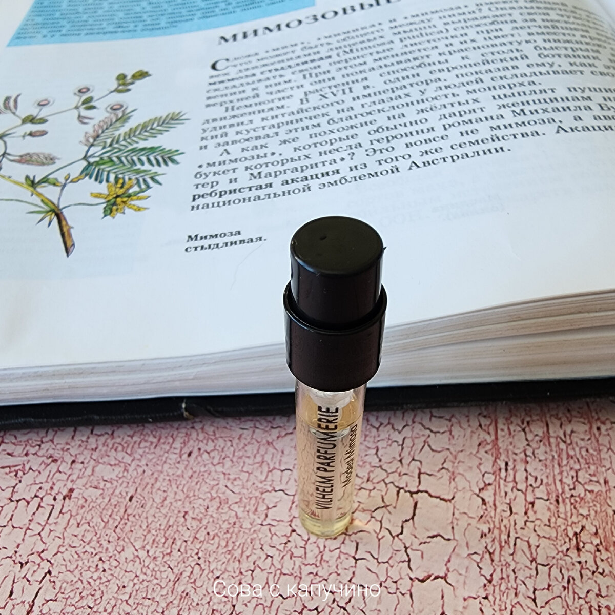 Со всей ответственностью подошла я к написанию данной статьи. Даже энциклопедию у детей отобрала, чтоб изучить