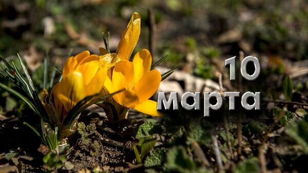 10 марта фото Какой сегодня праздник в России и мире - 10 марта Sputnik Южная Осетия Дзен