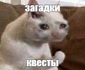 мое лицо, когда я увидел это...