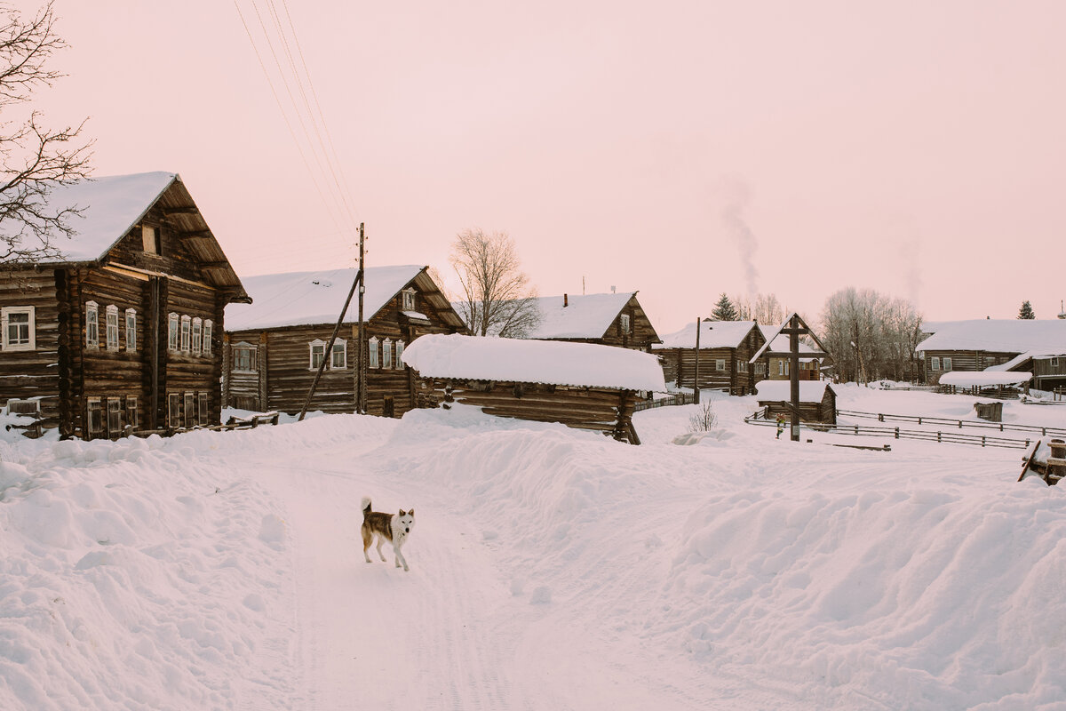 Фото: Жизнь у озера. Ольга Жанина. Пастораль. Фотосайт Расфокус.ру
